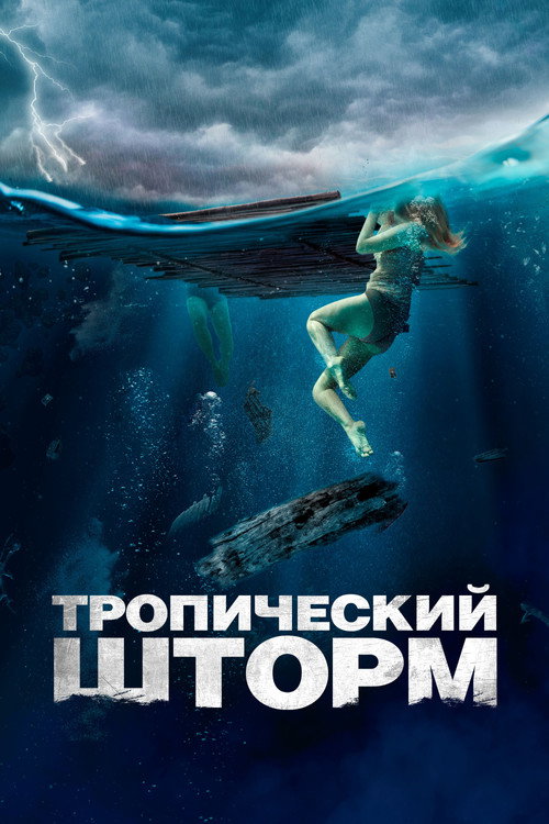 Poster for Тропический шторм