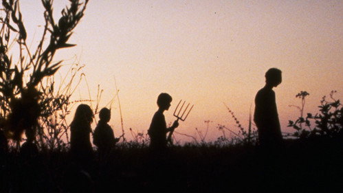 Backdrop for Дети кукурузы 4: Сбор урожая