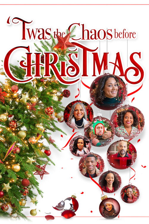 Poster for Twas the Chaos Before Christmas