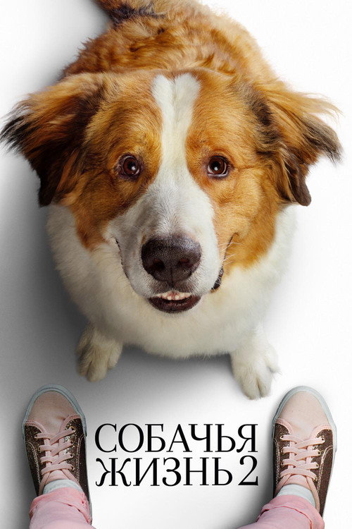 Poster for Собачья жизнь 2