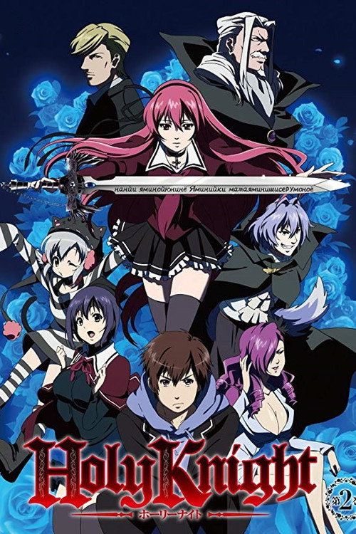 Poster for Holy Knight