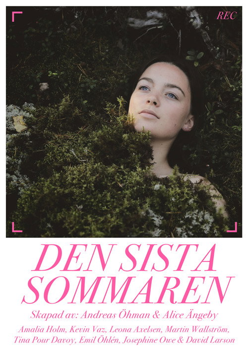 Poster for The Last Summer