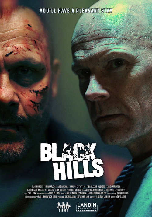 Poster for Black Hills