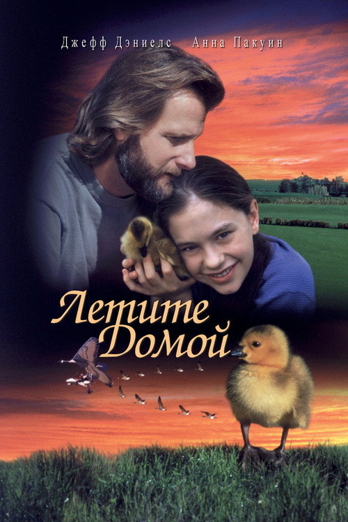 Poster for Летите домой
