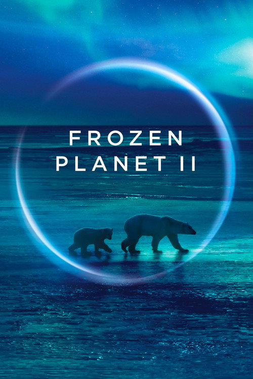 Poster for Frozen Planet II