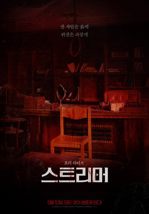 Poster for Стример