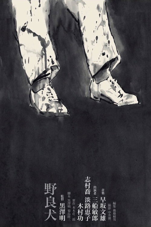 Poster for Stray Dog