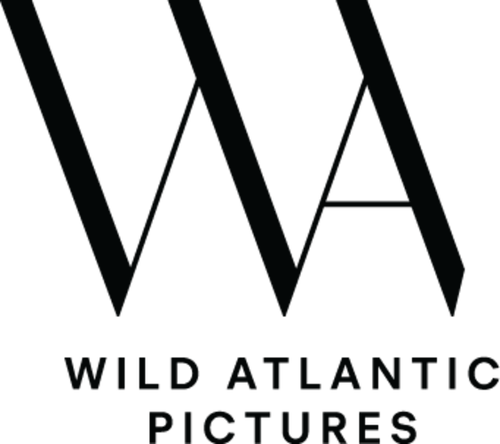 Каталог сериалов от студии Wild Atlantic Pictures - Рейтинги, отзывы, дата выхода на CUB
