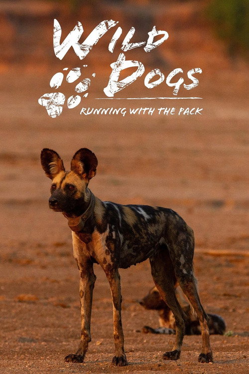 Poster for Wild Dogs: Running with the Pack