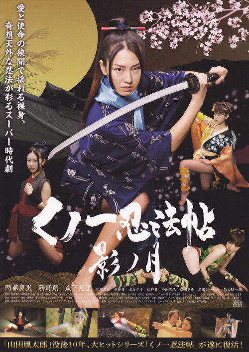 Poster for Lady Ninja: Reflections of Darkness