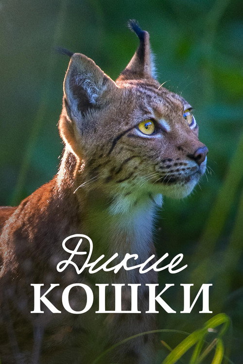 Poster for Lynx