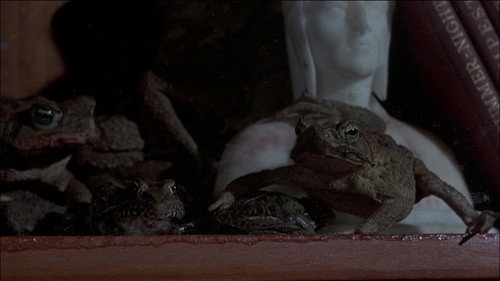 Backdrop for Лягушки
