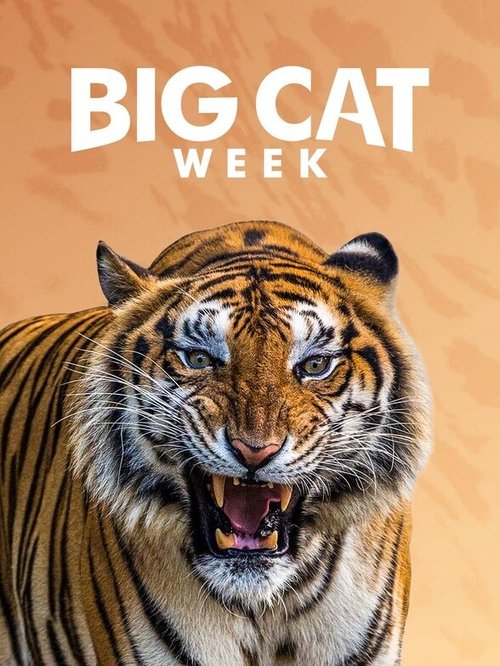 Poster for Big Cat Diary