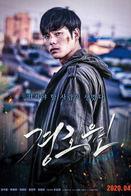 Poster for Bodyguard