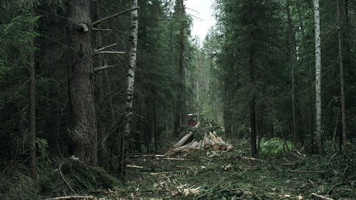 Backdrop for Лес