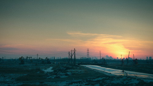 Backdrop for Застывшая ярость