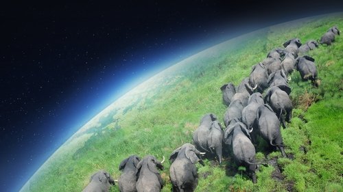 Backdrop for BBC: Планета Земля