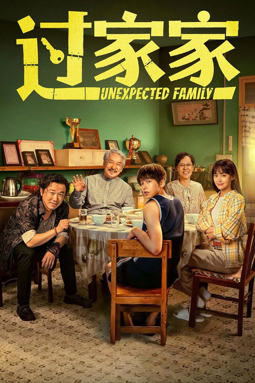 Poster for Unexpected Family