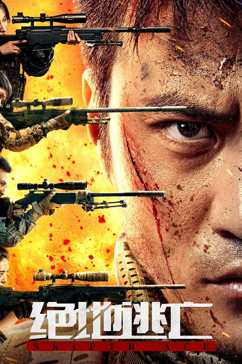Poster for Skiptrace