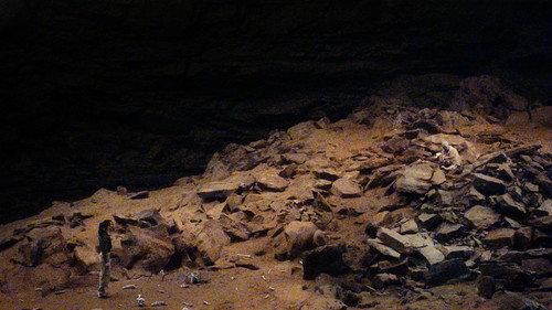 Backdrop for Личинка