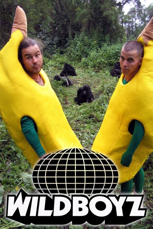 Poster for Wildboyz