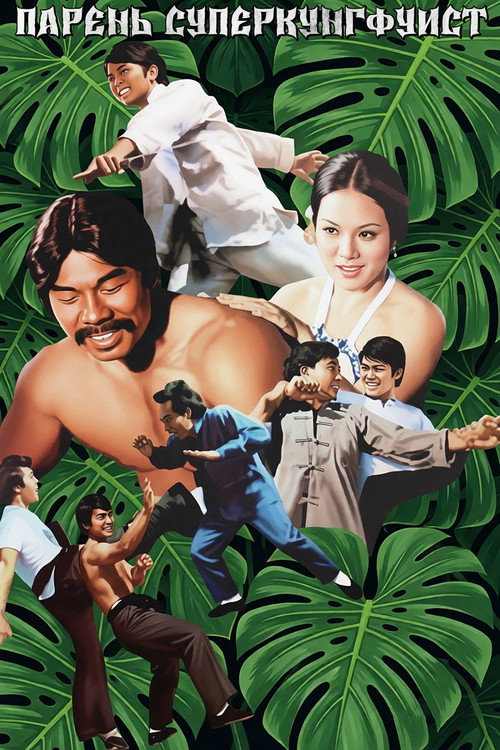 Poster for Парень суперкунгфуист
