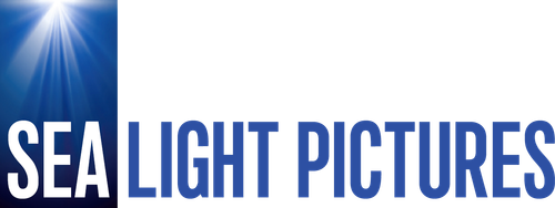 Каталог сериалов от студии SeaLight Pictures - Рейтинги, отзывы, дата выхода на CUB