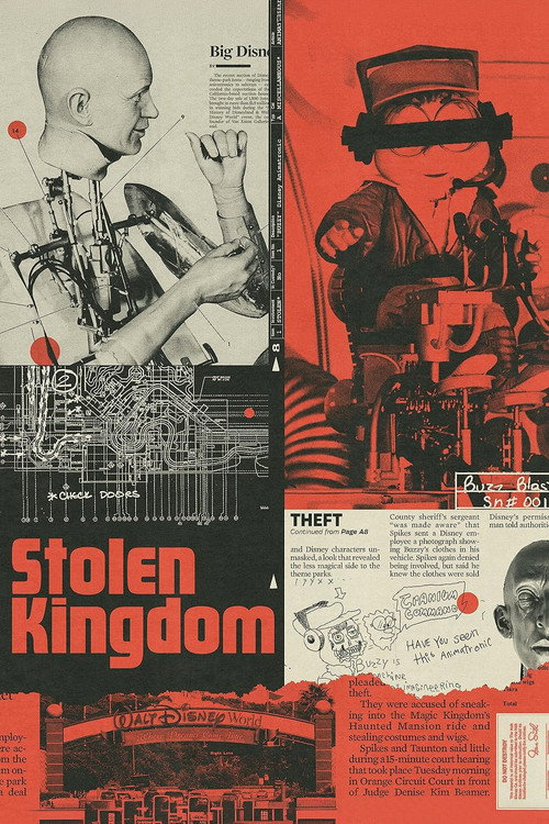 Poster for Украденное королевство