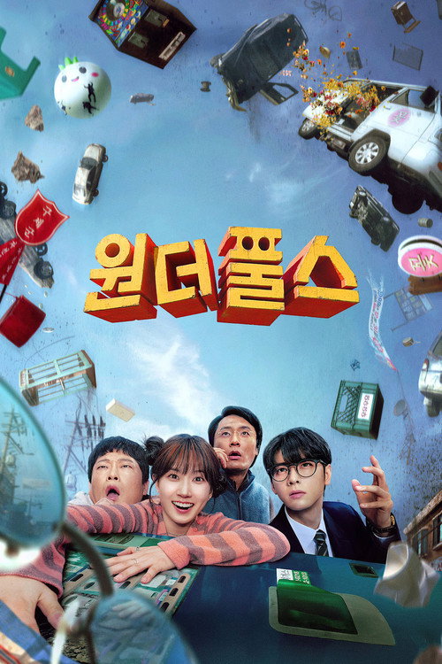 Poster for The WONDERfools