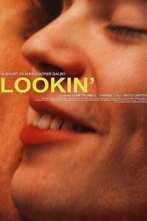 Poster for Lookin'