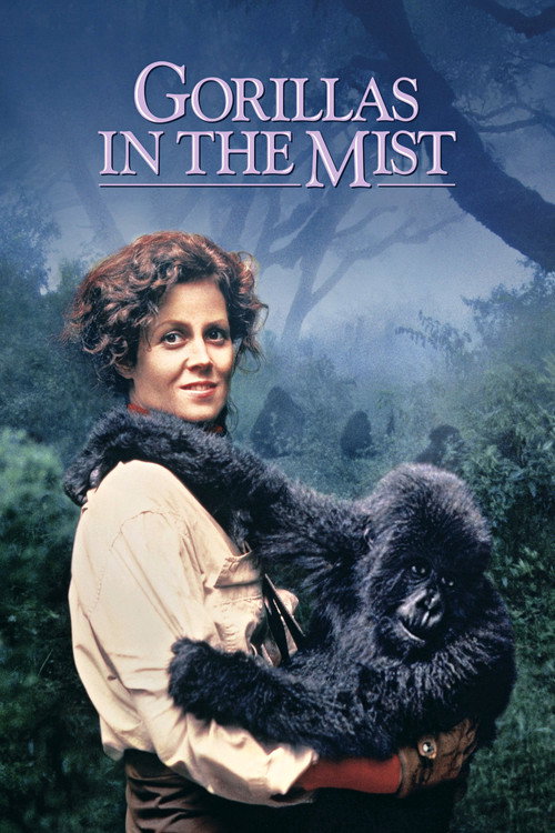 Poster for Гориллы в тумане