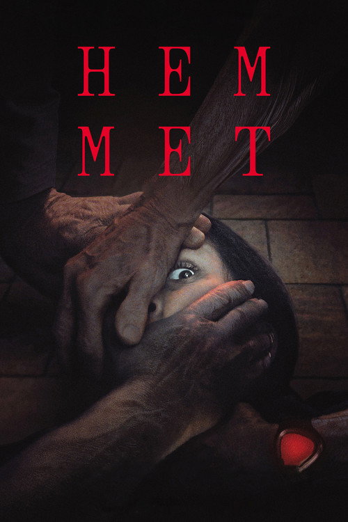 Poster for The Home
