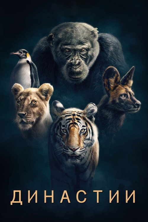 Poster for Dynasties