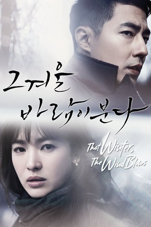Poster for Этой зимой дует ветер