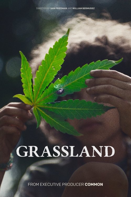 Poster for Grassland