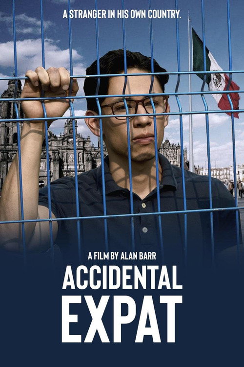 Poster for Случайный эмигрант