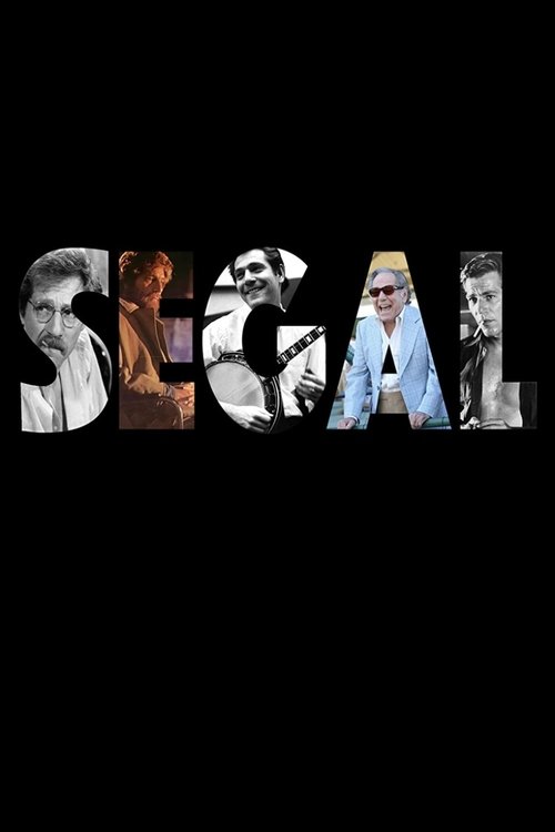 Poster for SEGAL