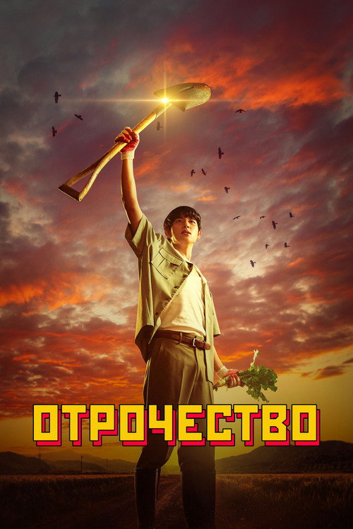 Poster for Boyhood