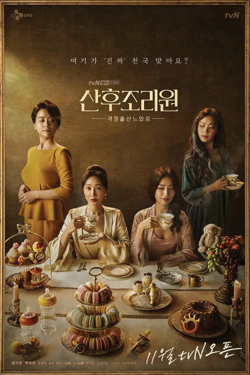 Poster for Birthcare Center