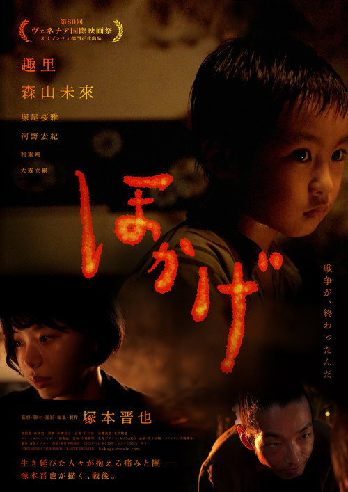 Poster for Тень огня