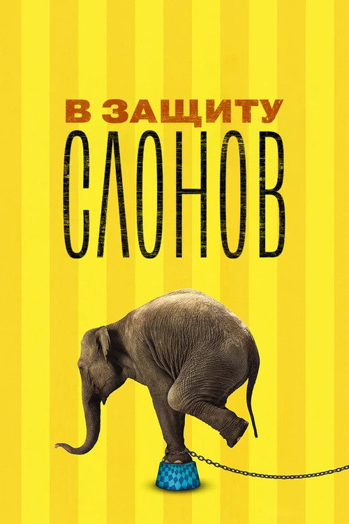Poster for В защиту слонов