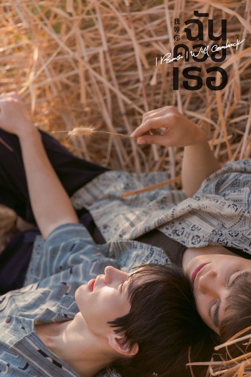 Poster for I Promise I Will Come Back