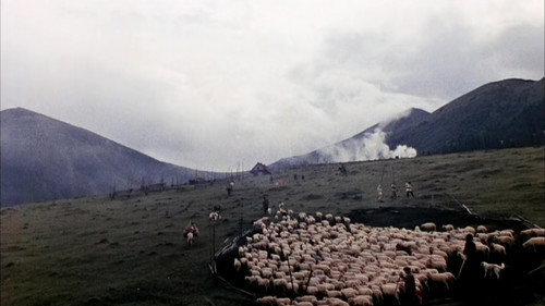 Backdrop for Тени забытых предков