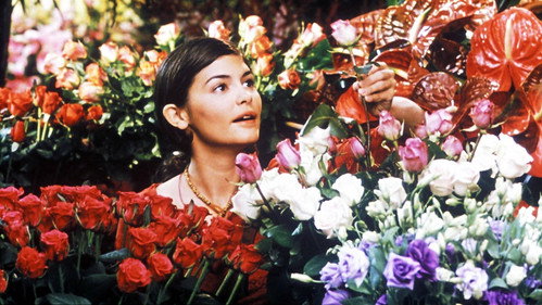 Backdrop for Любит - не любит