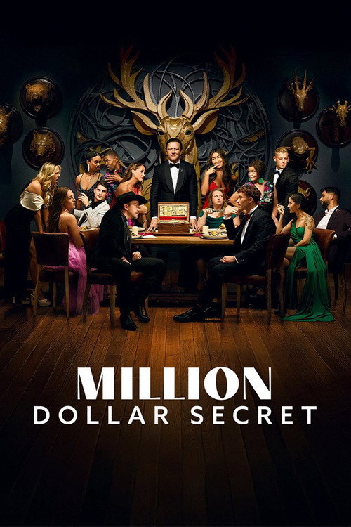 Poster for Секрет на миллион долларов