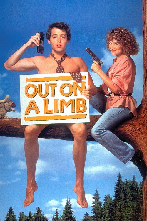 Poster for В опасности