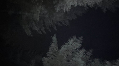 Backdrop for Последний, кто умрет