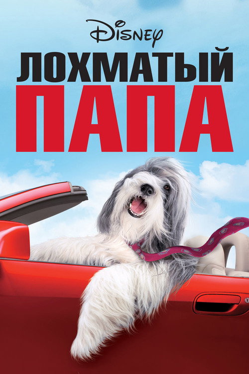 Poster for Лохматый папа