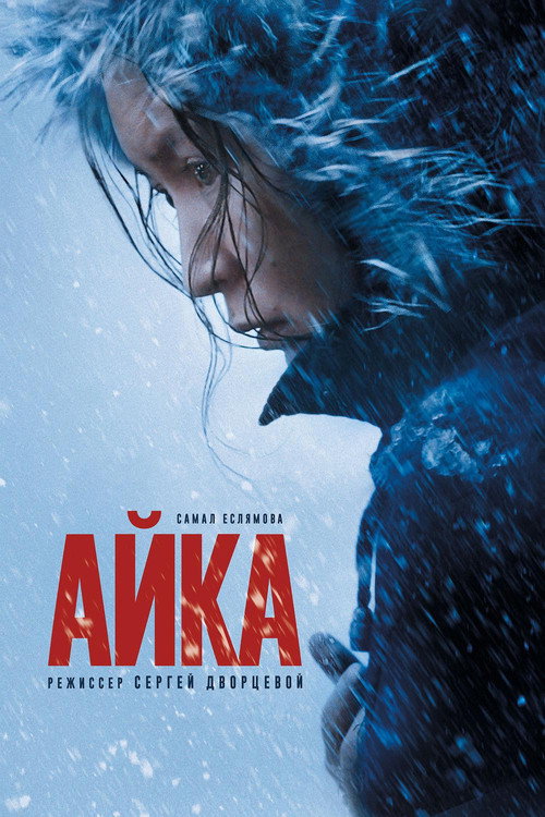 Poster for Ayka