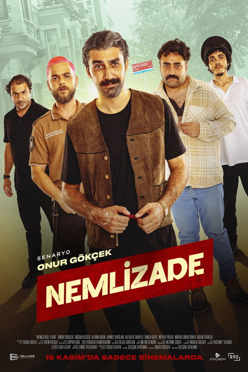 Poster for Немлизаде